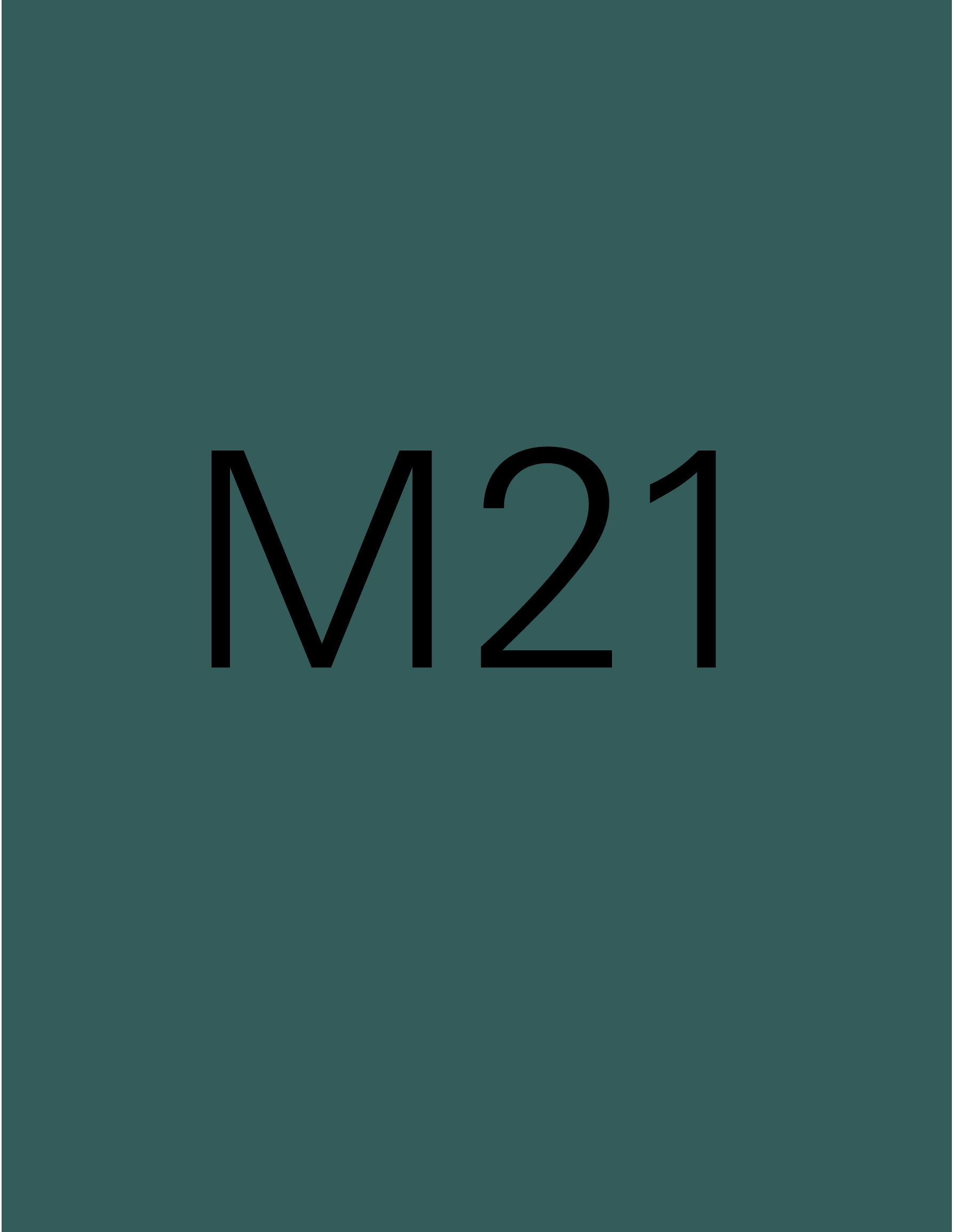M21-11